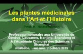 Les plantes médicinales dans l'Art et l'Histoire