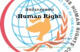 สิทธิมนุษยชน (Human Right)