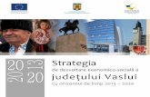 Strategia de dezvoltare economico-socială a judeţului Vaslui cu ...