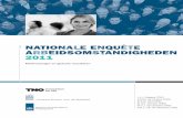 Rapport NEA 2011 Rapport NEA 2011.pdf