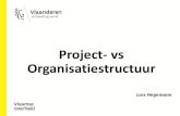 Projectleider versus organisatiestructuur
