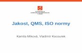 Jakost, QMS, ISO normy