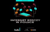 raport internet rzeczy w polsce