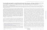 Crystallographic and Mutational Analysis of the CD40-CD154 ...