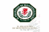 Dalle olive all'olio: il Frantoio di Montepulciano