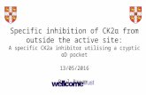 Specific inhibition of CK2α from an anchor outside the active site