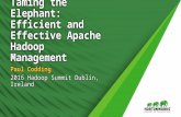 Taming the Elephant: Efficient and Effective Apache Hadoop Management