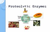 Protease enzymes