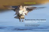 Adriatic Flyway – Closing the gap in bird Conservation preface