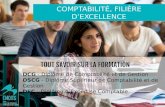 DCG - DSCG - DEC : tout savoir sur les formations aux métiers de la comptabilité et de l'expertise comptable