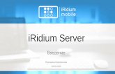 Как настраивать iRidium Server?