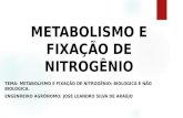 metabolismo e fixação de nitrogênio: BIOLOGICA E NÃO BIOLOGICA.