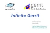 Infinite gerrit