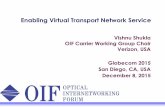 Enabling Virtual Transport Network Service