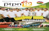 Buletin PTPN 12 Edisi 13