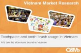 Toothbrush and toothpaste usage in vietnam