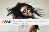 Vietnamese shampoo usage and brand image