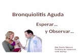 Actualización en Bronquiolitis: “wait and see”