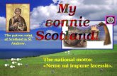 My bonnie scotland