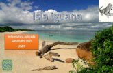 isla iguana taller#8