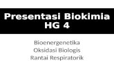 Bioenergenetika, Oksidasi Biologis, Rantai Respiratorik
