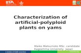 characterization of artificial-polyploid plants on yams