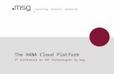 The HANA Cloud Platform