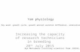 Yam Physiology