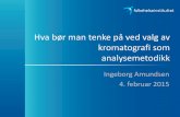 Hvorfor velge kromatografi som metodikk Ingeborg Amundsen