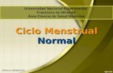 Ciclo menstrual normal