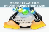 Les Variables d'environnement sous linux