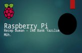 What is Raspberry Pi and Using