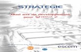 FBS ESCEM - Analyse Stratégique VEOLIA 2013