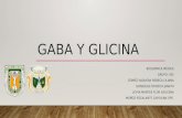 Gaba y glicina