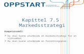 PP kapittel 7.5 markedsstrategi