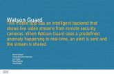Watson Guard