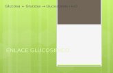 Enlace glucosidico
