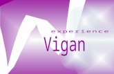 Vigan Arch