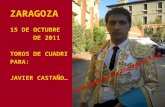 Zaragoza 15- 10-11