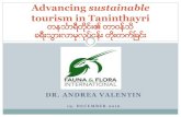 Advancing Sustainable Tourism in Taninthayri