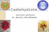 د.مصطفى طه محمد (Carbohydrates) الكاربوهيدرات