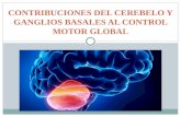Neurofisiologia - cerebelo y ganglios basales