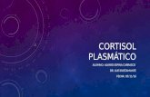 Cortisol plasmático, 2016