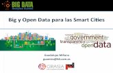 Big y Open Data para las Smart Cities