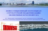 Шишацкий Н.Г. Инвестиционный потенциал структурной модернизации экономики крупного города (на примере