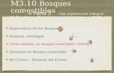 CDP+++ Módulo 3 Clase 10 Bosques comestibles II