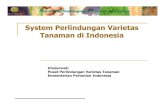 System Perlindungan Varietas Tanaman di Indonesia