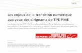 Rapport Harris Interactive - Ordre des Experts-Comptables - les enjeux de la transition numerique aux yeux des dirigeants de tpe-pme