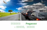 佩卡索尔公司介绍 Pegasor introduction 18.1.2016
