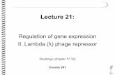 281 lec21 phage_repressor